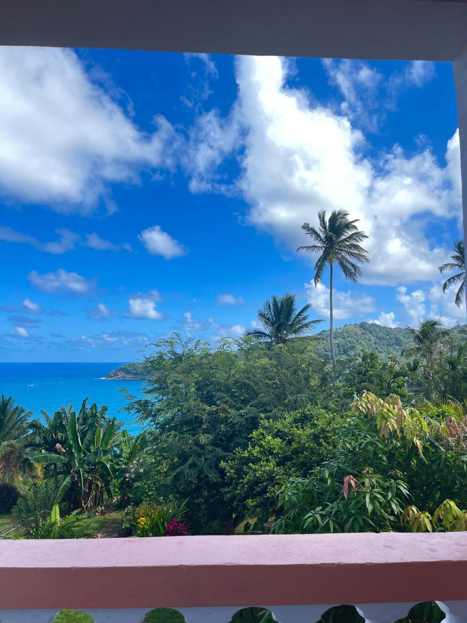 Готель Happy Nest Dominica Маріго Екстер'єр фото
