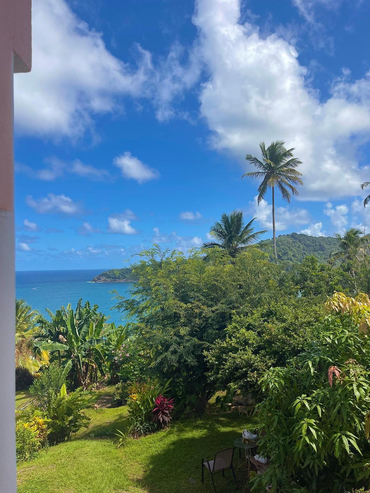 Готель Happy Nest Dominica Маріго Екстер'єр фото